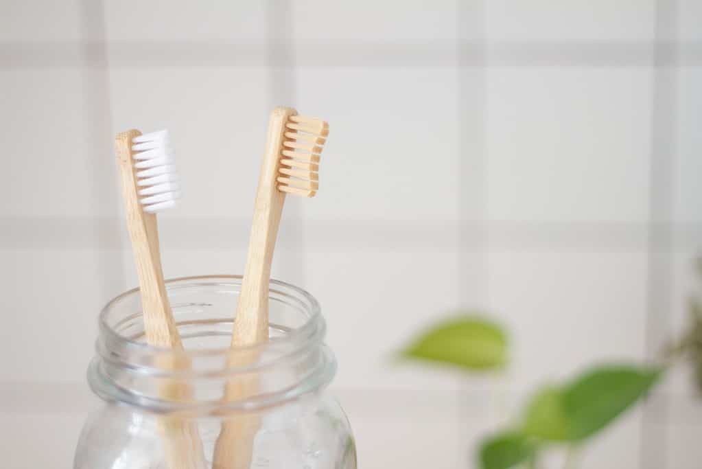 Image is of two bamboo toothbrushes in clear glass jar.