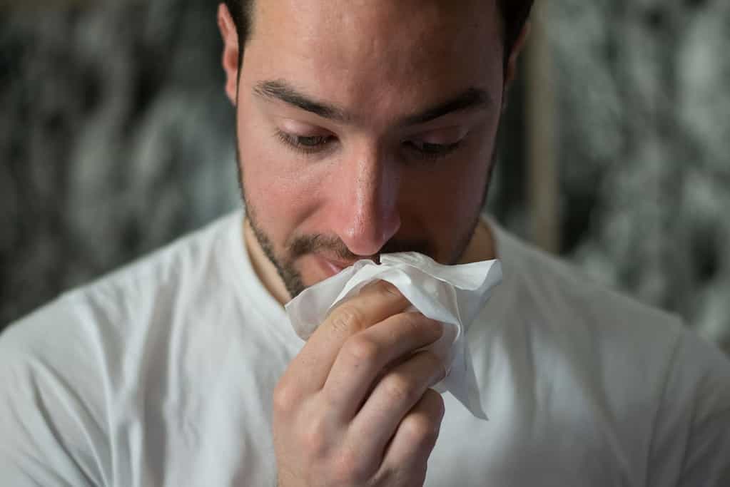 Ways to fight off the flu. Photo: Brittany Colette: Unsplash