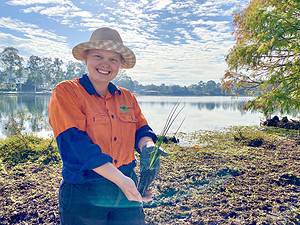 Local birds give the gurus a run for their money