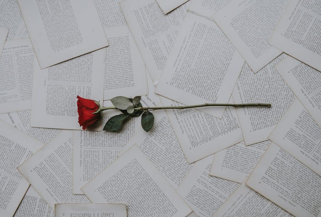 Funeral Poems. Red rose on poems