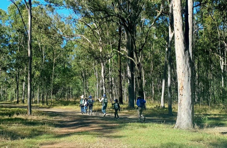 Forest Lake Richlands Scout Group